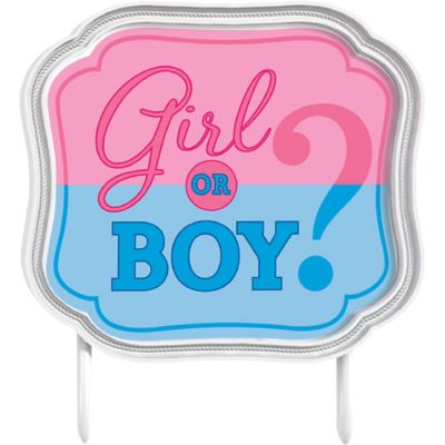 Girl Or Boy Gender Reveal Cake Topper 4 3 4in X 4 1 4in Party City