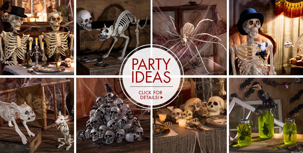 Halloween Skeletons & Skeleton Decorations - Halloween Skulls - Party City