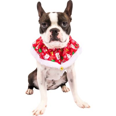 christmas dog collar