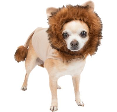 lion dog