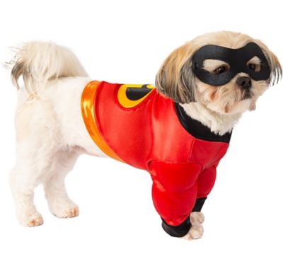 buzz lightyear pet costume