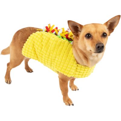 fiesta dog costume