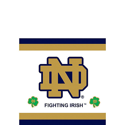 16 Notre Dame Fighting Irish Party Bundle 9 Plates C C 20 Lunch Napkins